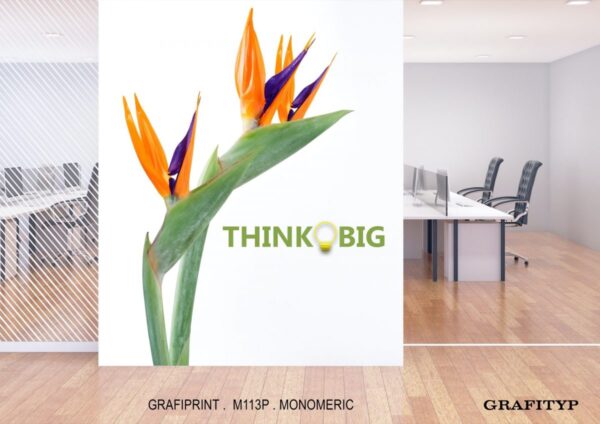 Grafityp Monomeric Print Media M113P - Image 2