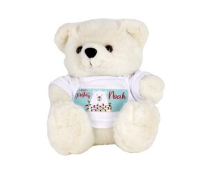 Teddy Bear White