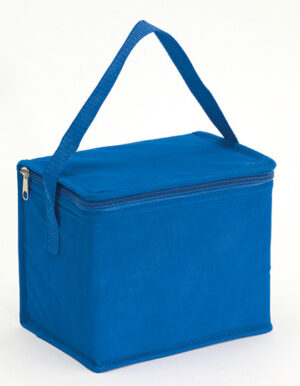 Cooler bag
