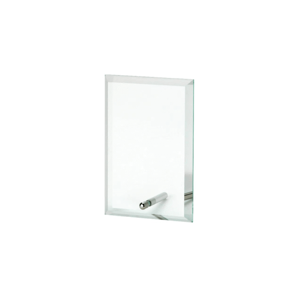 Glass with Pin