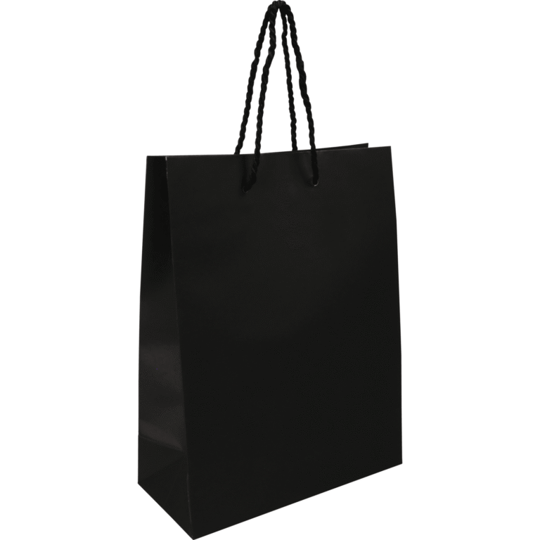 Bag Paper with drawstring 22x 10x29cm carrier bag black